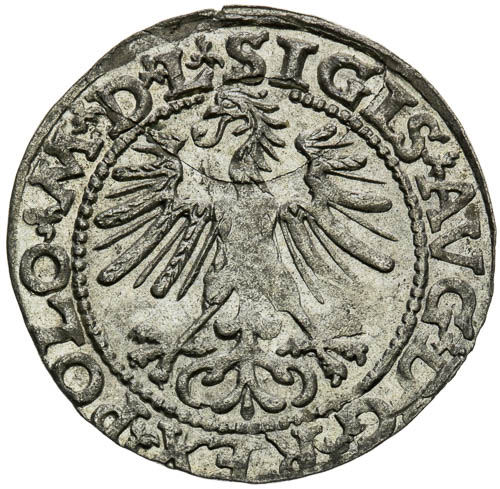 1/2 Groš 1563 - revers