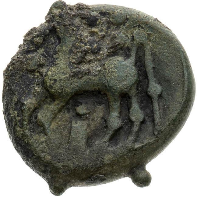 Didrachm - back