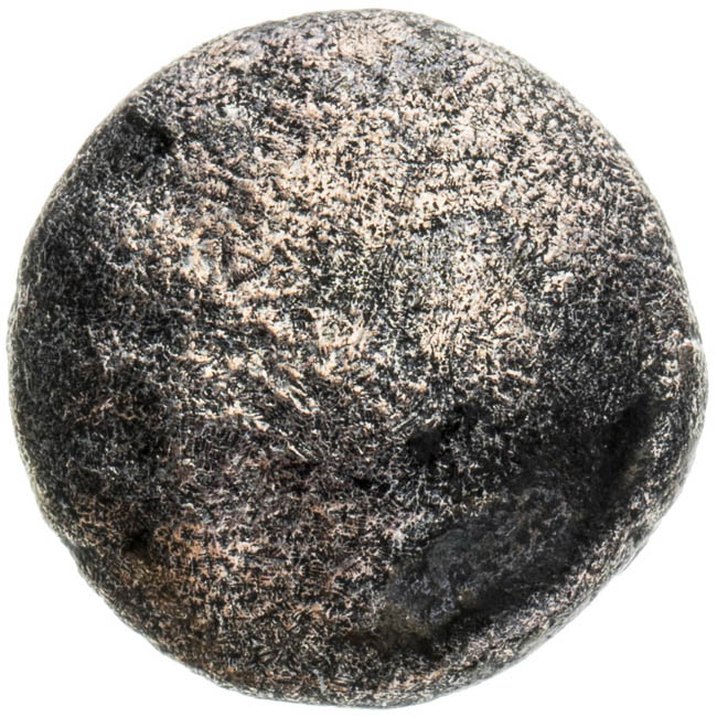 1/4 Stater - back