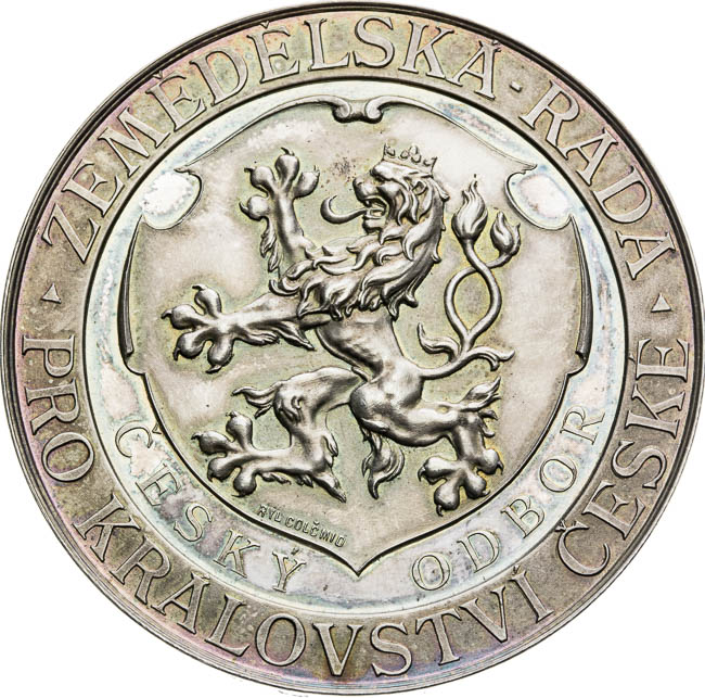 Silver medal  - back