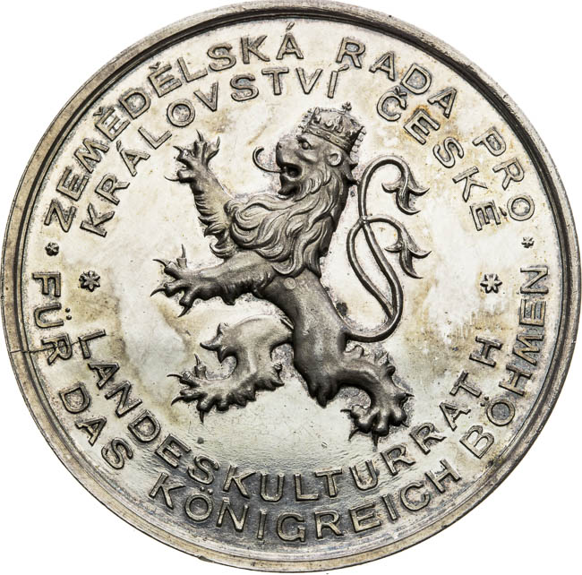 Silver medal  - front