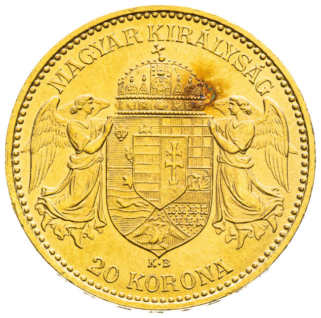 20 Korona 1895 - revers