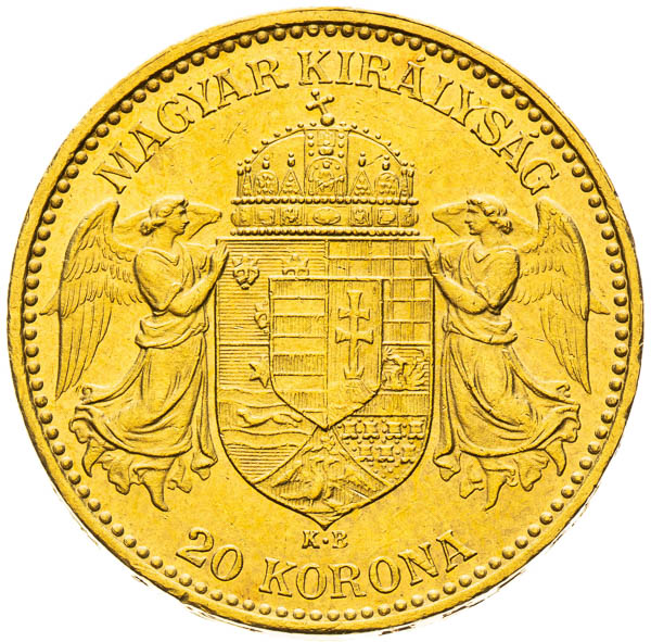 20 Korona 1895 - reverz