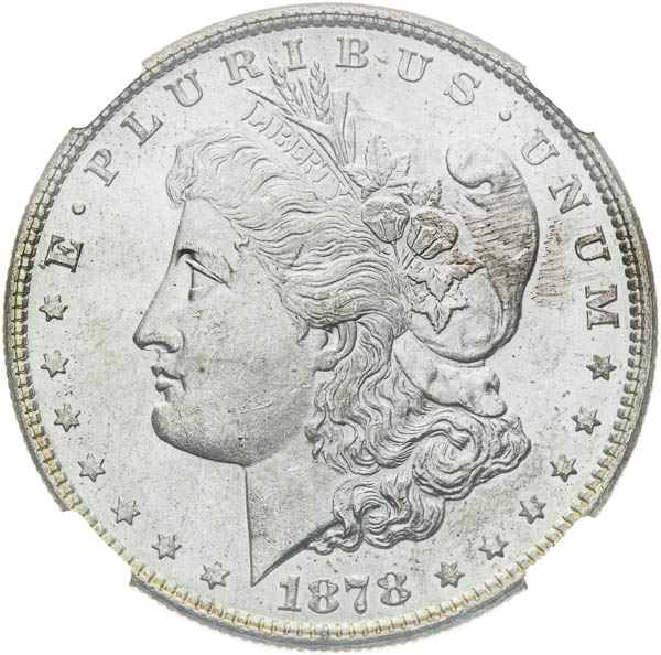 Morgan Dollar 1878 - averz