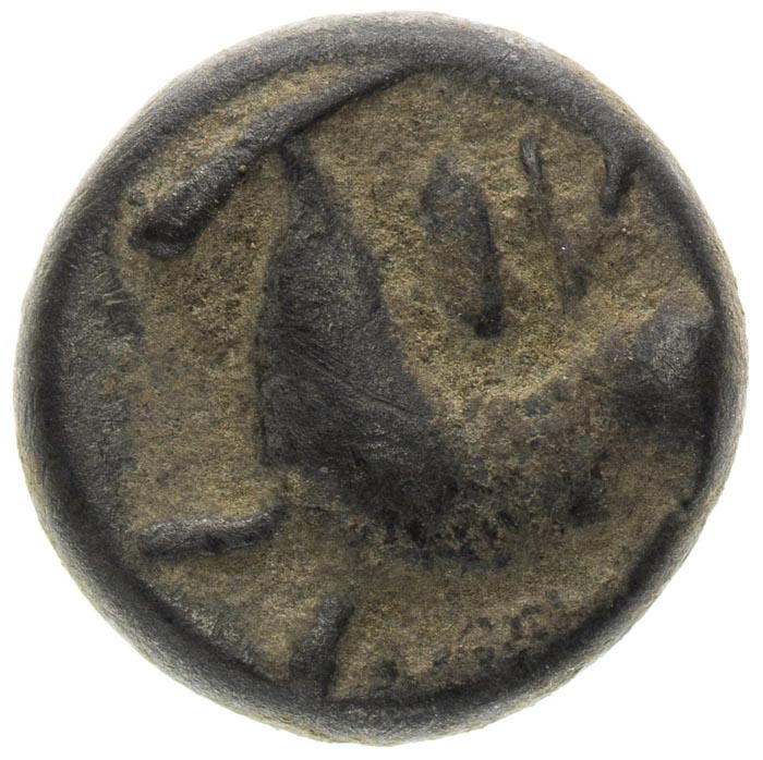 Drachm - back