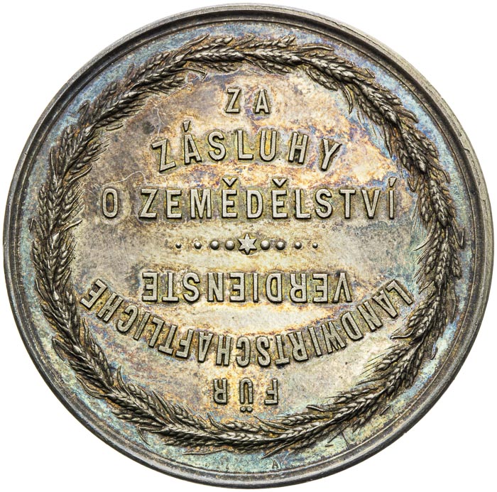 Silver medal  - back