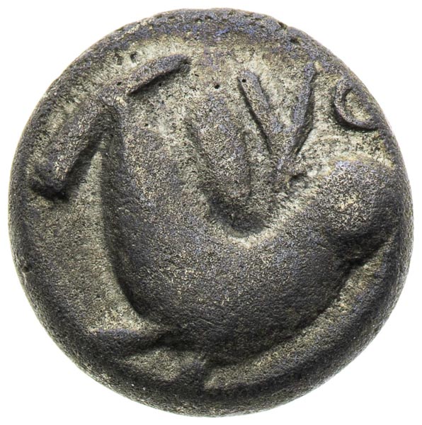 Drachm - back