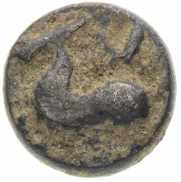 Obol - back