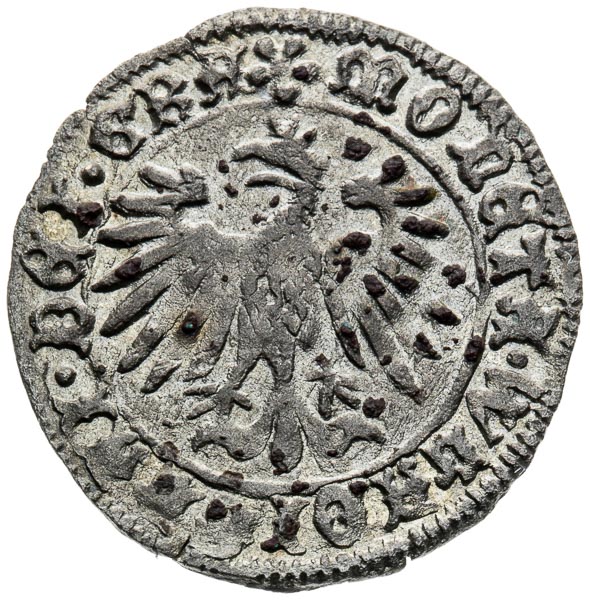 Denár (1443-1444) - reverz