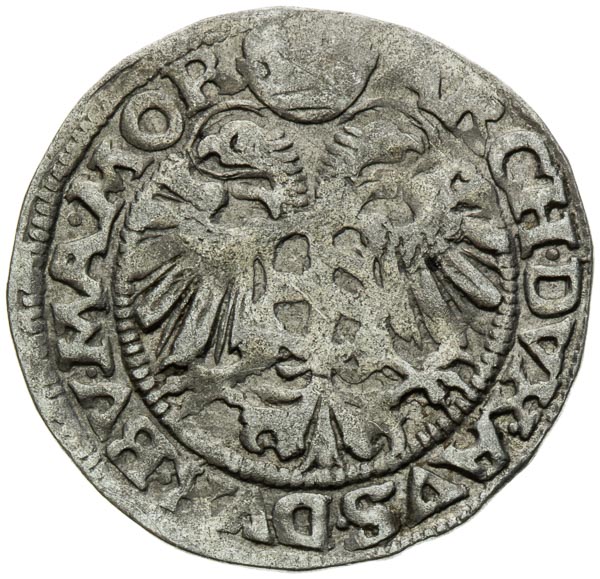 Bílý groš (okolo 1575) - reverz