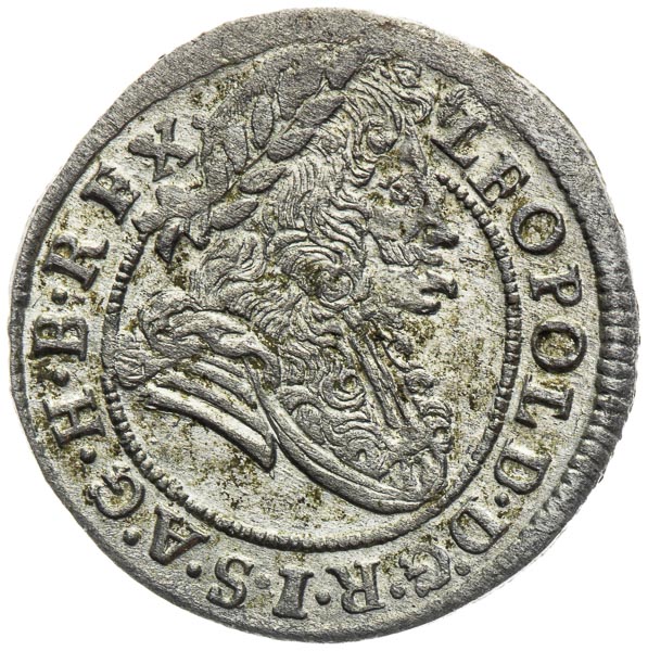 Poltura 1699 - averz