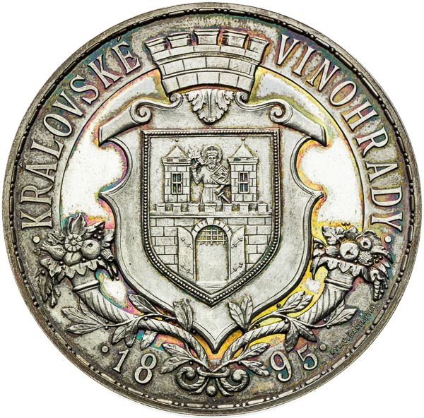 Strieborná medaila 1895 - reverz