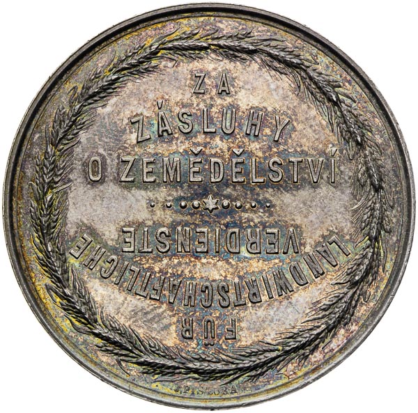 Strieborná medaila 1894 - reverz