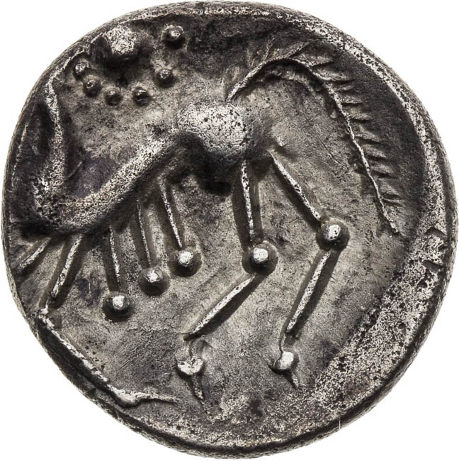 AR Drachm - back