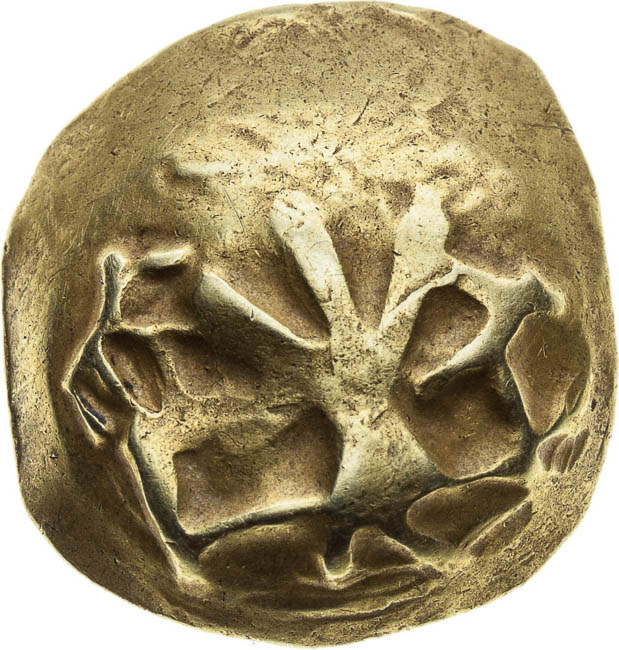 Stater Spatulate type - front