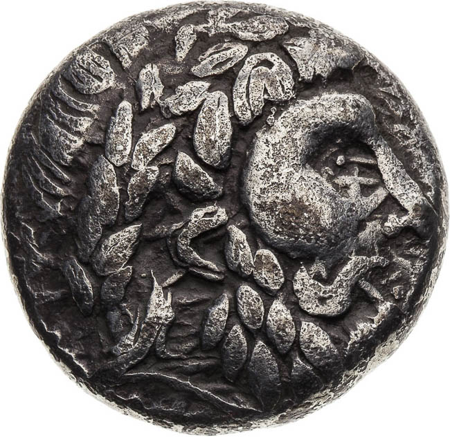 AR Tetradrachma - avers