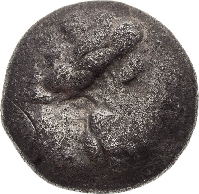 AR Tetradrachma - avers